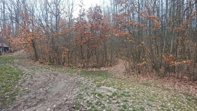 Plac, Prodaja, m2, Atomska Banja, Okolno mesto, Atomska Banja