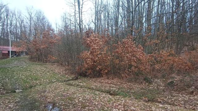 Plac, Prodaja, m2, Atomska Banja, Okolno mesto, Atomska Banja