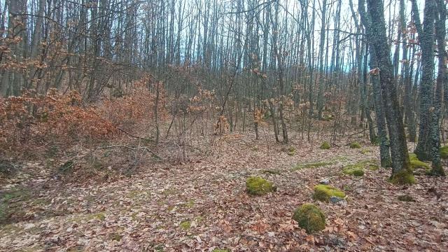 Plac, Prodaja, m2, Atomska Banja, Okolno mesto, Atomska Banja