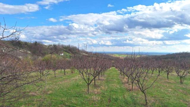 Plac, Prodaja, m2, Irig