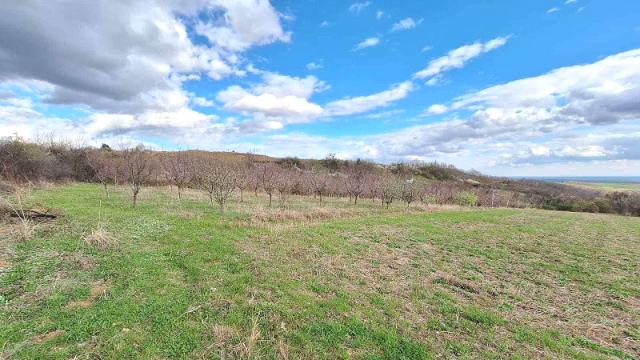 Plac, Prodaja, m2, Irig