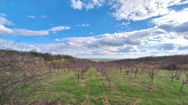 Plac, Prodaja, m2, Irig