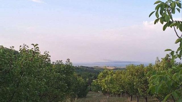 Plac, Prodaja, m2, Irig