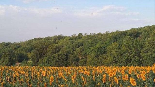 Plac, Prodaja, m2, Irig