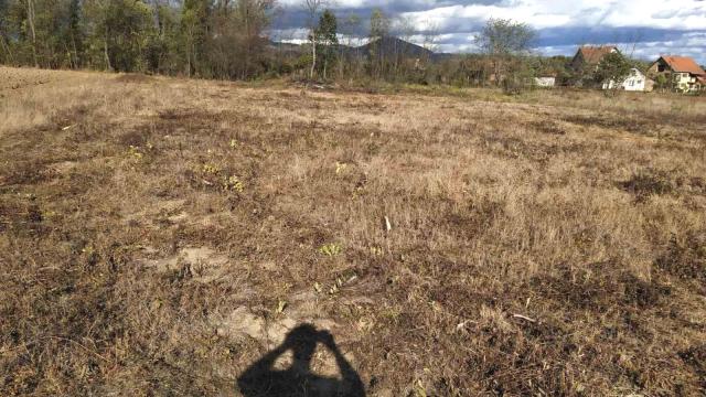 Plac, Prodaja, m2, Mojsinje, Okolno mesto, Mojsinje