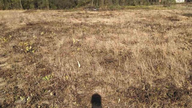 Plac, Prodaja, m2, Mojsinje, Okolno mesto, Mojsinje