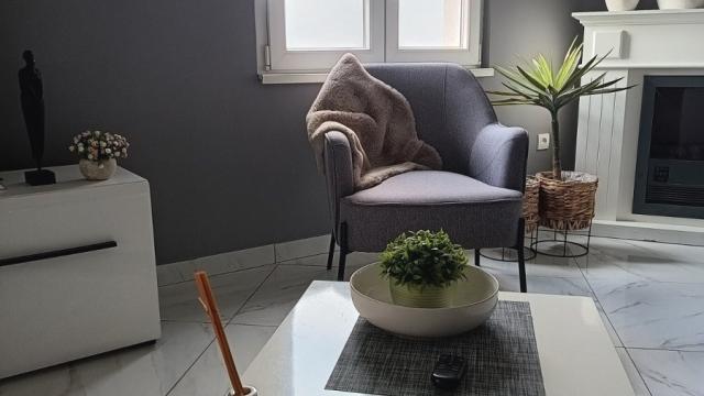 Stan, Dvosoban, Izdavanje, 50m2, Vojvode Vlahovića