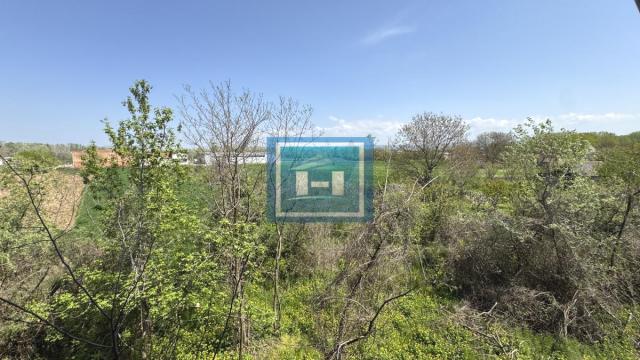 Kuća, Prodaja, 685m2, Moravski Bujmir, Okolno mesto, Aleksinac