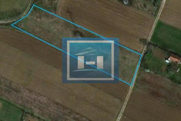 prodaja, plac,
trnava-grad-jagodina, 478970, plac