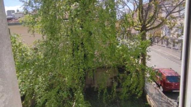 Stan, Jednosoban, Izdavanje, 46m2, Profesorska kolonija, Palilula, Smederevska