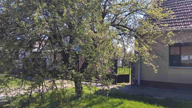 Kuća, Trosoban, Prodaja, 80m2, Banatsko Karadjordjevo, Okolno mesto, Banatsko Karađorđevo