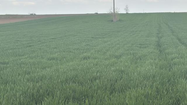 Plac, Prodaja, m2, Rivica, Okolno mesto, Rivica