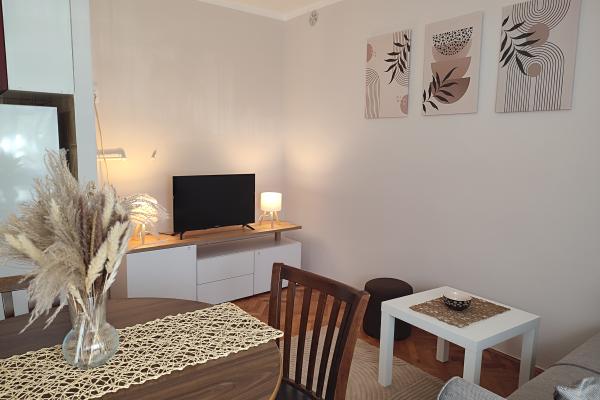 izdavanje, stanova,
nis, 1087831, jednoiposoban-branka-krsmanovica