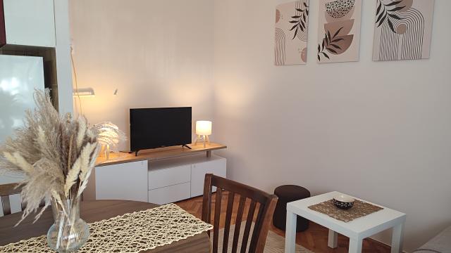 Stan, Jednoiposoban, Izdavanje, 45m2, Branka Krsmanovica