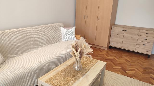 Stan, Jednoiposoban, Izdavanje, 45m2, Branka Krsmanovica