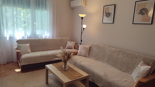 Stan, Jednoiposoban, Izdavanje, 45m2, Branka Krsmanovica