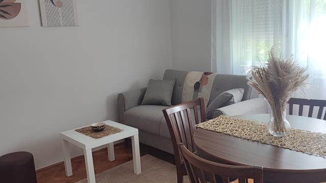 Stan, Jednoiposoban, Izdavanje, 45m2, Branka Krsmanovica