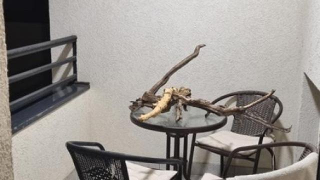 Stan, Dvosoban, Izdavanje, 43m2, Crveni krst, Vračar, Metohijska