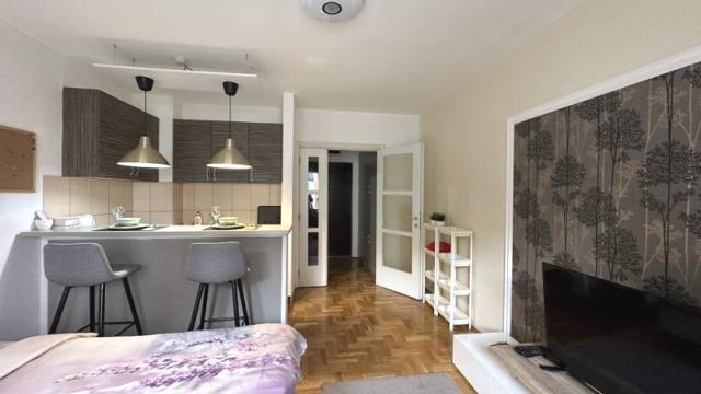 Stan, Garsonjera, Izdavanje, 24m2, Grahovska