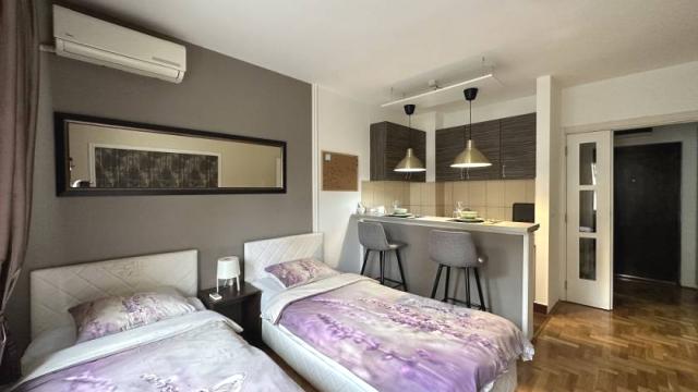 Stan, Garsonjera, Izdavanje, 24m2, Grahovska