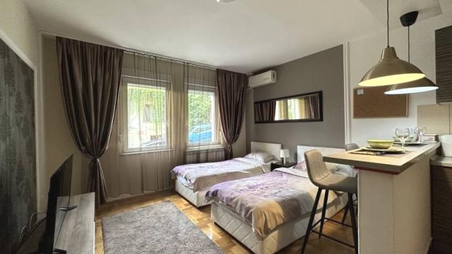 Stan, Garsonjera, Izdavanje, 24m2, Grahovska