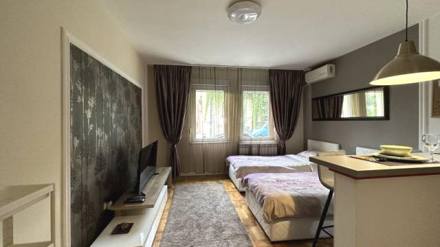 Stan, Garsonjera, Izdavanje, 24m2, Grahovska