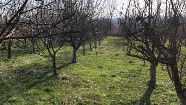 Kuća, Petosoban i veći, Prodaja, 370m2, Slatina, Sopot, Slatina