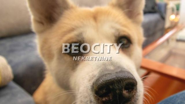 Stan, Troiposoban, Prodaja, 100m2, Blok 64, Novi Beograd, Gandijeva