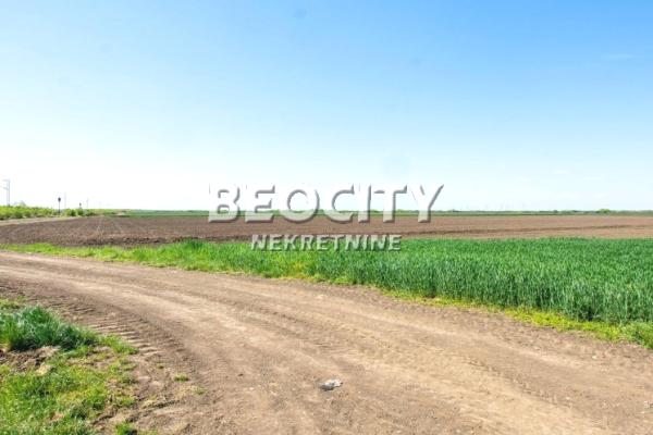 izdavanje, plac,
batajnica-zemun-beograd, 1091969, plac