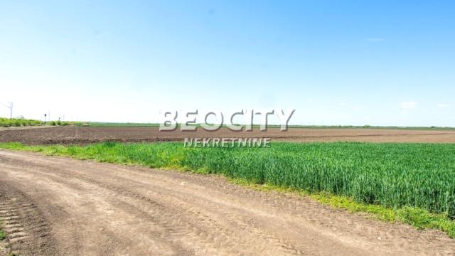 Plac, Izdavanje, 240m2, Batajnica, Zemun, Zemun, Batajnica, , 240a