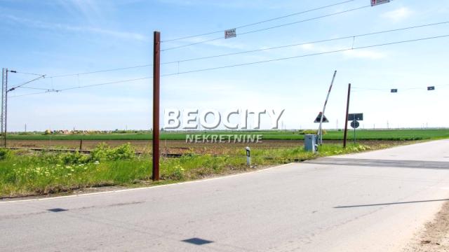 Plac, Izdavanje, 240m2, Batajnica, Zemun, Zemun, Batajnica, , 240a