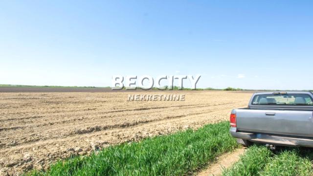 Plac, Izdavanje, 240m2, Batajnica, Zemun, Zemun, Batajnica, , 240a