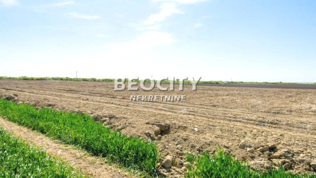 Plac, Izdavanje, 240m2, Batajnica, Zemun, Zemun, Batajnica, , 240a