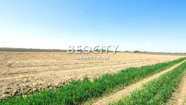 Plac, Izdavanje, 240m2, Batajnica, Zemun, Zemun, Batajnica, , 240a