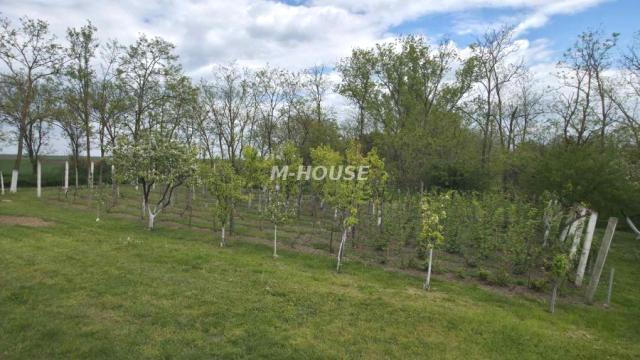 Kuća, Trosoban, Prodaja, 190m2, Stanišić, Okolno mesto, Sombor