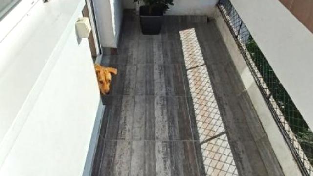 Stan, Dvosoban, Prodaja, 62m2, Kalvarija, Zemun, Mića Radakovića