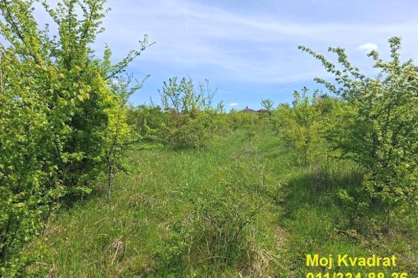 prodaja, plac,
rusanj-cukarica-beograd, 1093580, plac