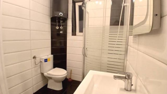Stan, Dvosoban, Izdavanje, 50m2, Generala Lešnjanina