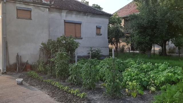 Kuća, četvoroiposoban, Prodaja, 100m2, Okolno mesto, Buljane