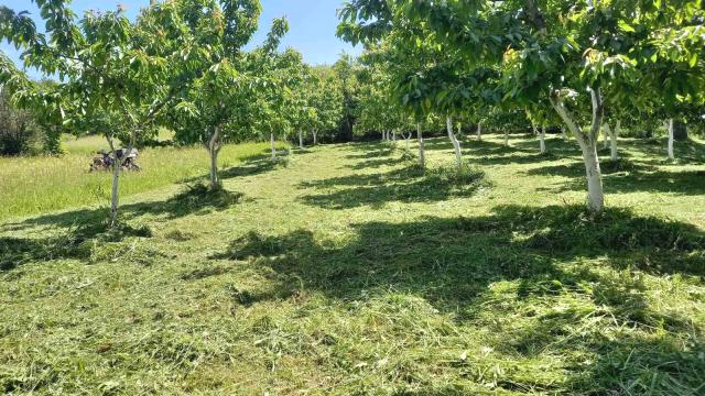 Kuća, Petosoban i veći, Prodaja, 130m2, Dići, Okolno mesto, Dici