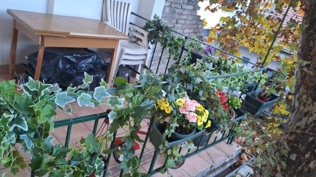 Stan, Trosoban, Prodaja, 104m2, Futog, Novi Sad, Futoska