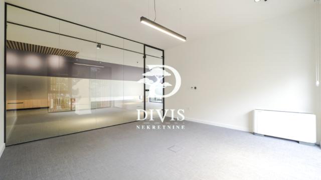 Poslovni prostor, Petosoban i veći, Izdavanje, 294m2, Sime Lozanića
