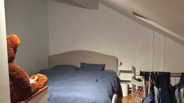 Stan, Dvosoban, Izdavanje, 52m2, Banovo brdo, Čukarica, Petra Lekovića