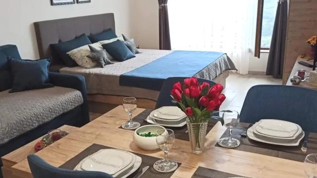 Stan, Jednosoban, Prodaja, 28m2, Čajetinska Česma