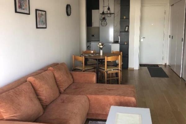 izdavanje, stanova,
dorcol-stari-grad-beograd, 1097357, dvoiposoban-venizelosova