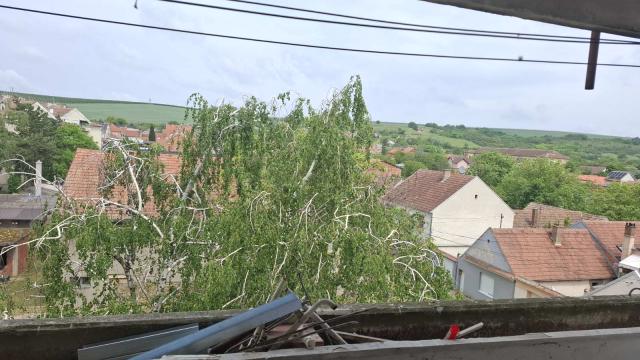 Stan, Trosoban, Prodaja, 61m2, Sonje Marinkovic