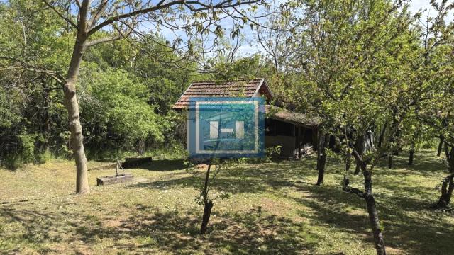 Kuća, Jednosoban, Prodaja, 160m2, Ravna Reka, Okolno mesto, Despotovac