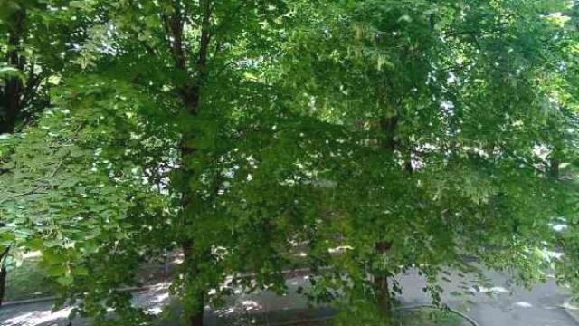 Stan, Jednoiposoban, Prodaja, 53m2, Medaković 2, Voždovac, Radovana Simića Cige