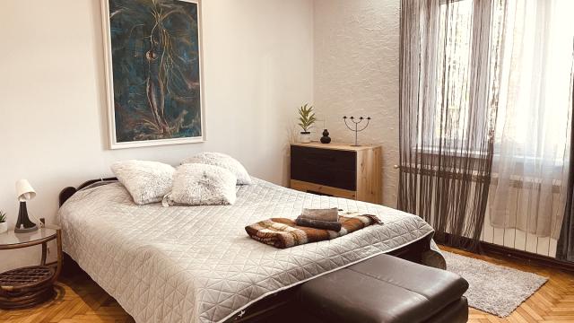 Stan, Dvoiposoban, Izdavanje, 60m2, Cara Dušana
