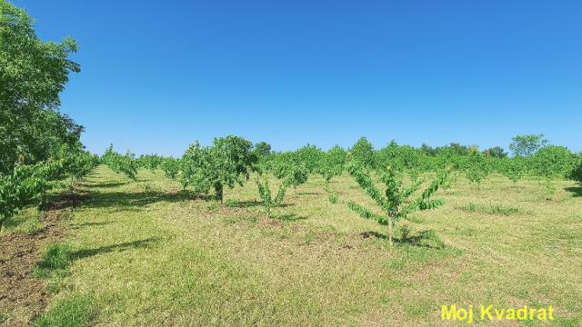 Plac, Prodaja, m2, Grocka (mesto), Grocka, Ruska